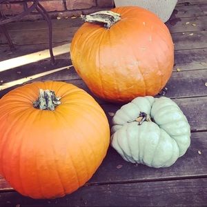 Meet your Posher, Caitlin